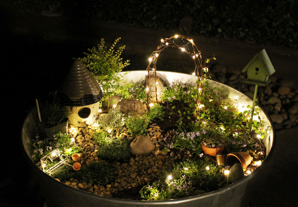 Fairy lights in a fairy garden! Why didn't I think of that?