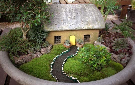 A tiny house and garden!